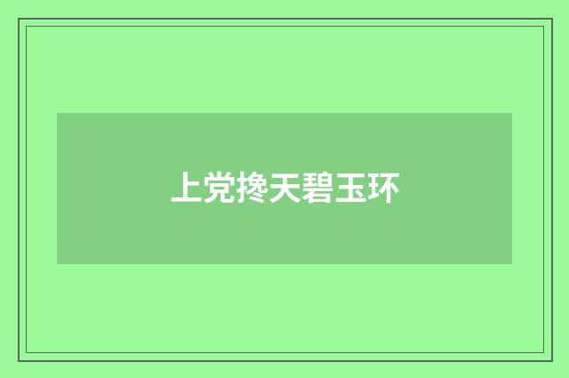 上党搀天碧玉环