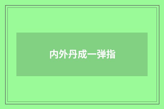 内外丹成一弹指