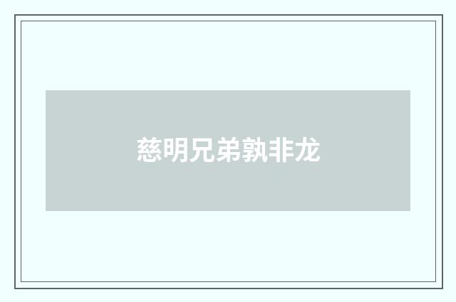 慈明兄弟孰非龙