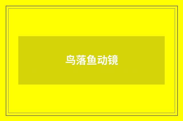 鸟落鱼动镜