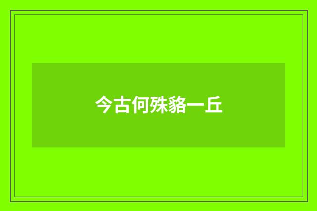 今古何殊貉一丘