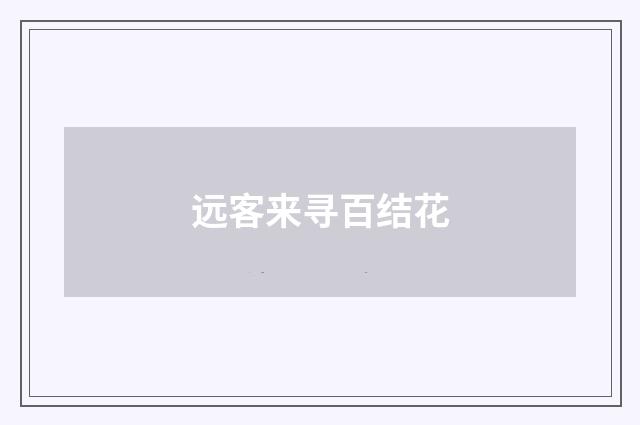 远客来寻百结花