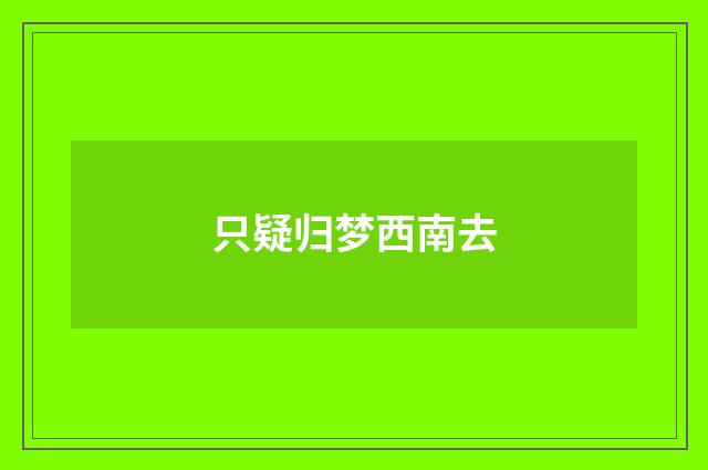 只疑归梦西南去
