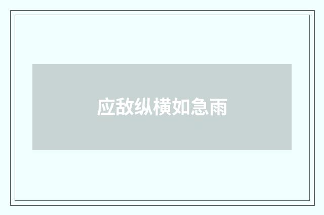 应敌纵横如急雨