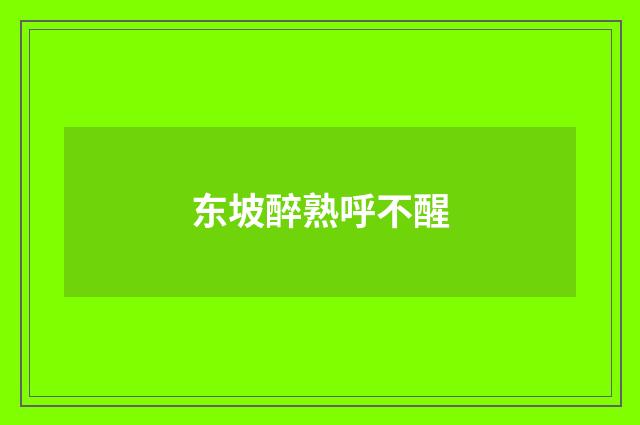 东坡醉熟呼不醒