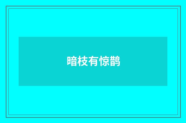 暗枝有惊鹊