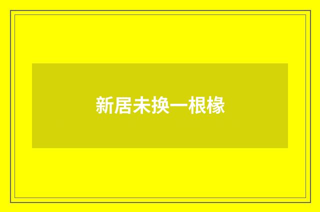新居未换一根椽