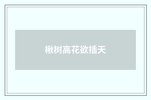 楸树高花欲插天
