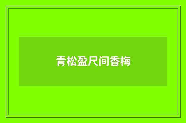 青松盈尺间香梅