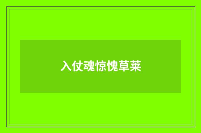 入仗魂惊愧草莱