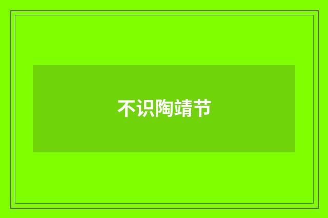 不识陶靖节
