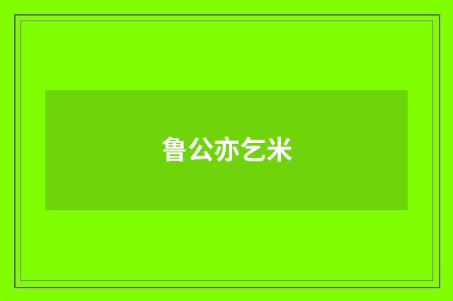 鲁公亦乞米