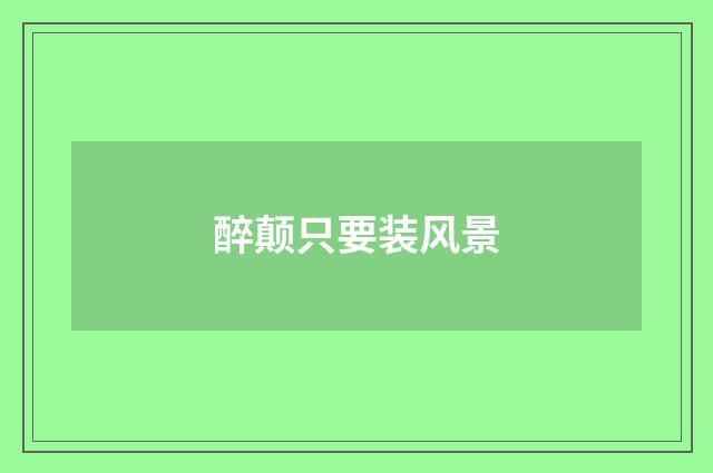醉颠只要装风景