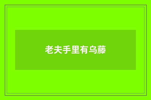 老夫手里有乌藤