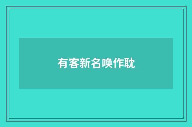 有客新名唤作耽