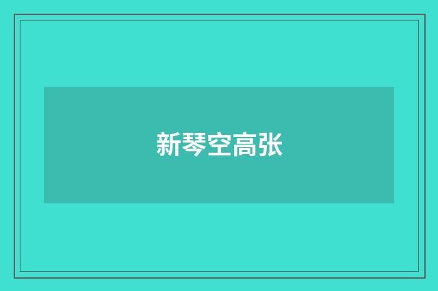 新琴空高张