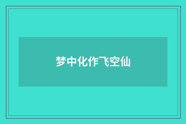 梦中化作飞空仙