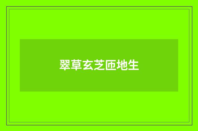 翠草玄芝匝地生