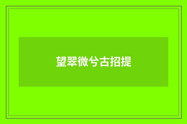 望翠微兮古招提