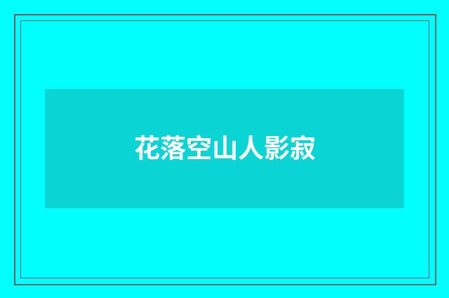 花落空山人影寂
