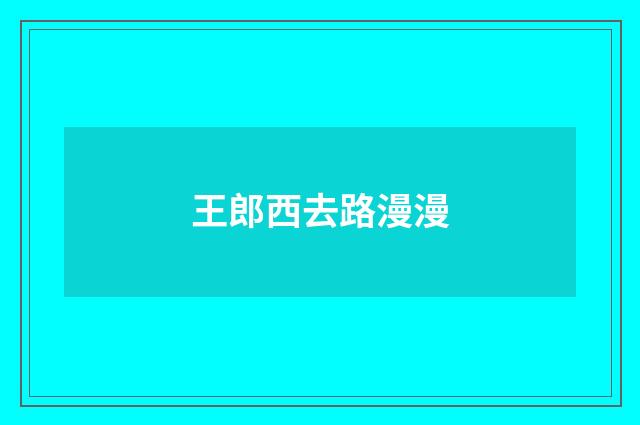 王郎西去路漫漫