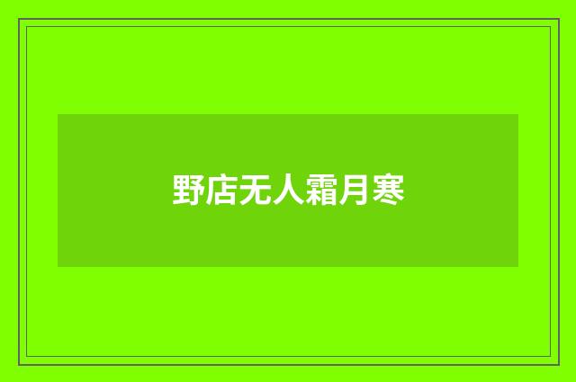 野店无人霜月寒