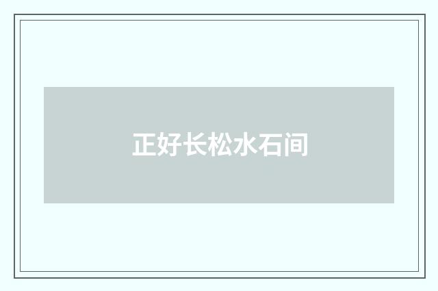 正好长松水石间