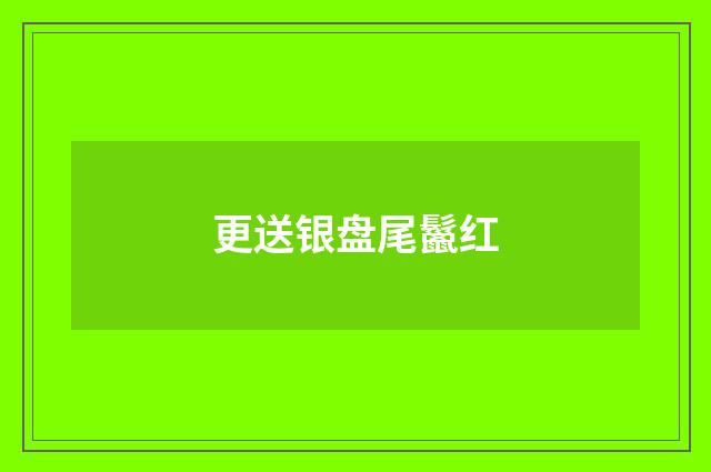 更送银盘尾鬣红