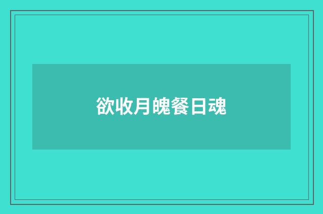 欲收月魄餐日魂