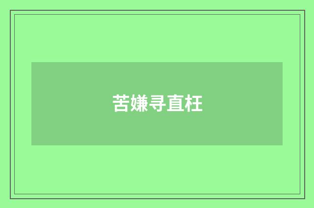 苦嫌寻直枉