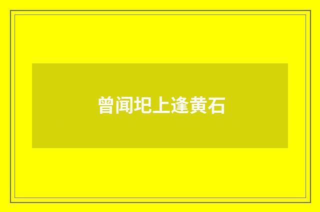 曾闻圯上逢黄石