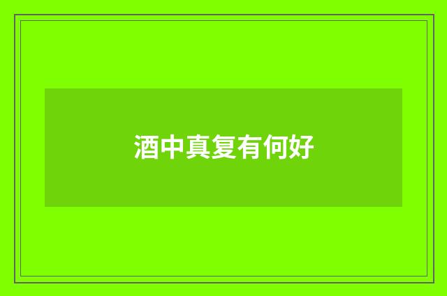 酒中真复有何好