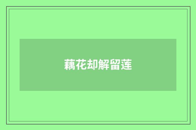 藕花却解留莲