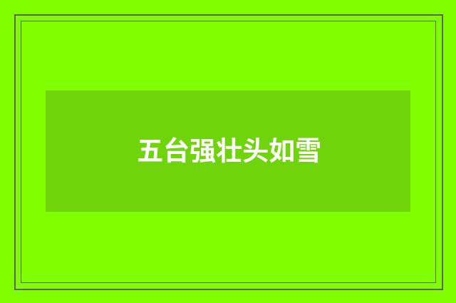 五台强壮头如雪