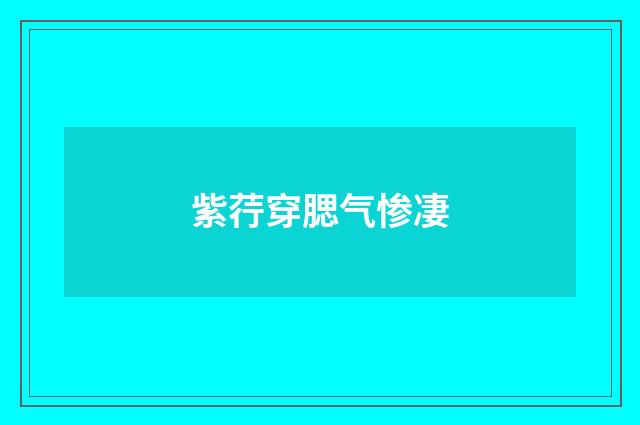 紫荇穿腮气惨凄