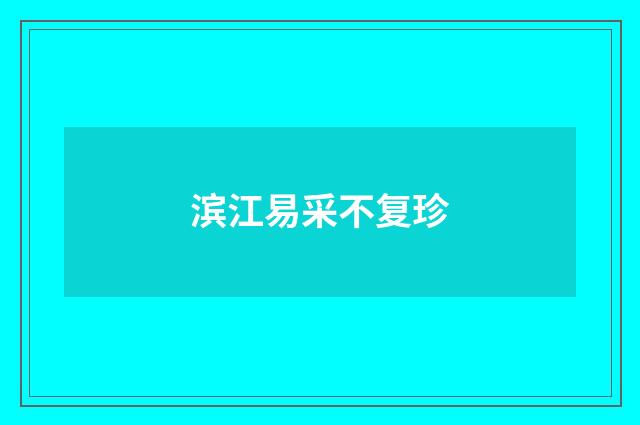 滨江易采不复珍