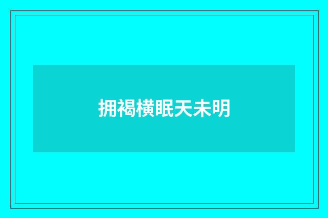 拥褐横眠天未明