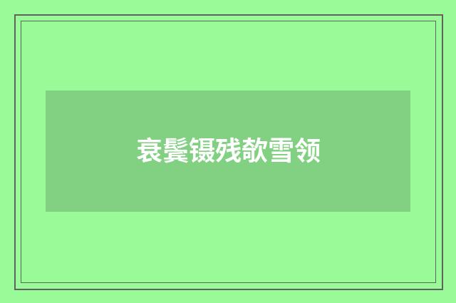 衰鬓镊残欹雪领