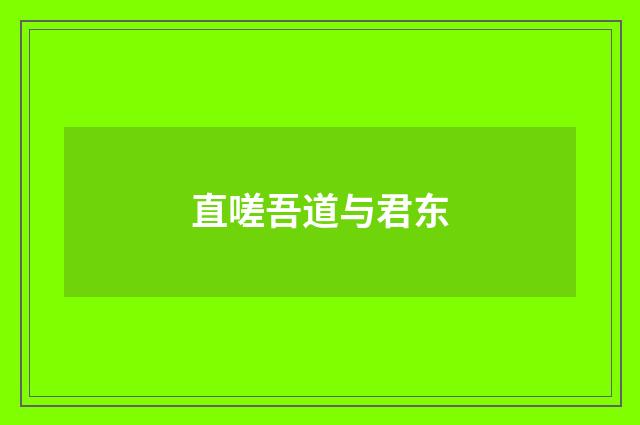 直嗟吾道与君东
