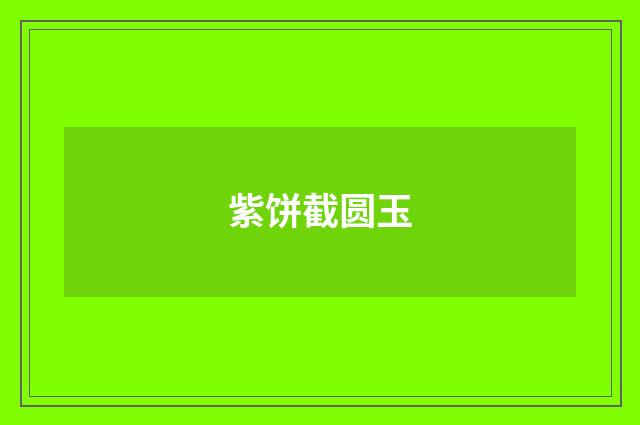 紫饼截圆玉