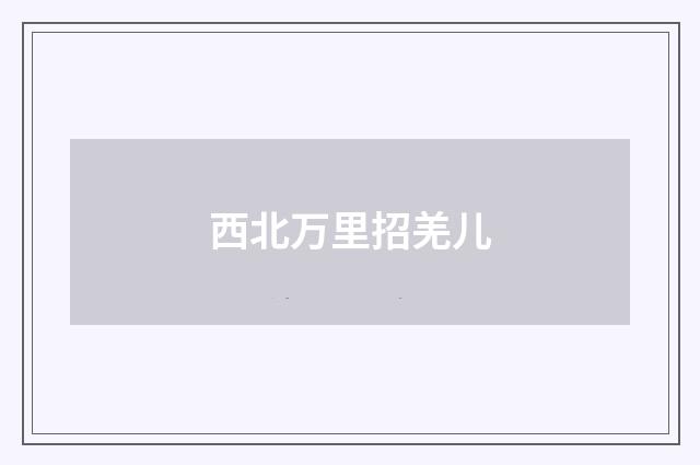 西北万里招羌儿