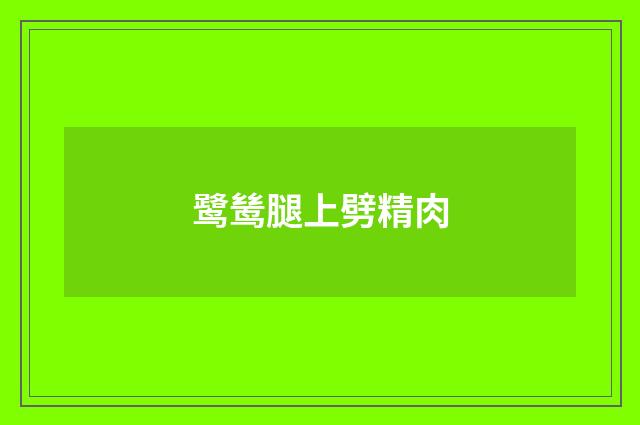 鹭鸶腿上劈精肉