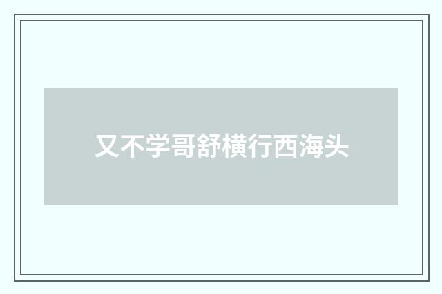 又不学哥舒横行西海头