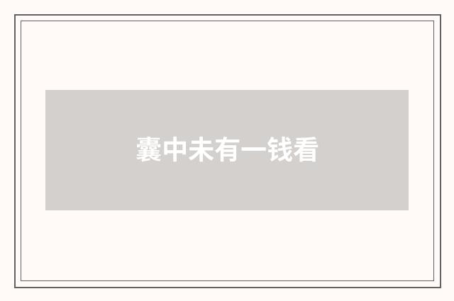囊中未有一钱看