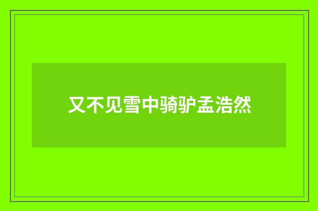 又不见雪中骑驴孟浩然