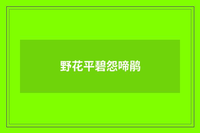 野花平碧怨啼鹃