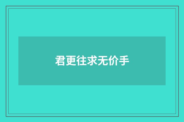 君更往求无价手