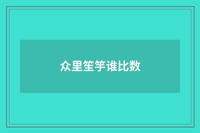 众里笙竽谁比数