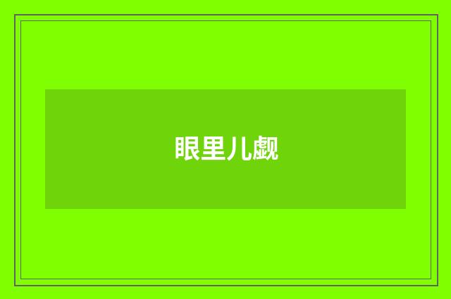 眼里儿觑