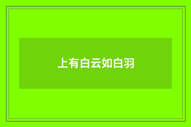 上有白云如白羽